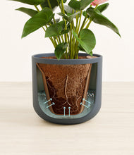 Load image into Gallery viewer, Iron Gray