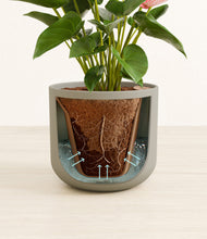 Load image into Gallery viewer, Sage Green