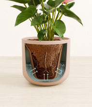 Load image into Gallery viewer, Sandy Pink