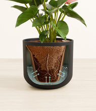 Load image into Gallery viewer, Stone Black