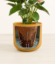 Load image into Gallery viewer, Sunset Orange