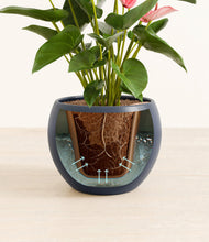 Load image into Gallery viewer, Deep Navy stand:all