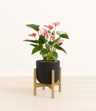 Load image into Gallery viewer, Stone Black stand:bamboo