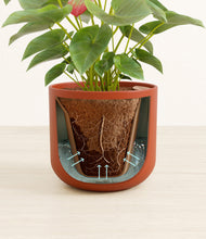 Load image into Gallery viewer, Earth Red