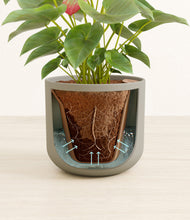 Load image into Gallery viewer, Sage Green