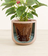 Load image into Gallery viewer, Sandy Pink