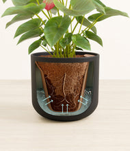 Load image into Gallery viewer, Stone Black