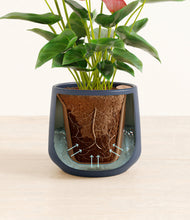 Load image into Gallery viewer, Deep Navy stand:all