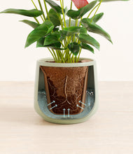 Load image into Gallery viewer, Turquoise stand:all