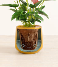 Load image into Gallery viewer, Mustard stand:all