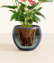 Load image into Gallery viewer, Deep Navy stand:all