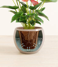 Load image into Gallery viewer, Desert Brown stand:all