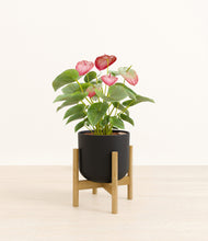 Load image into Gallery viewer, Stone Black stand:bamboo