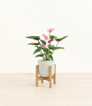 Load image into Gallery viewer, Hammered Ivory stand:bamboo