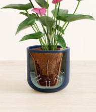 Load image into Gallery viewer, Twilight Blue stand:all