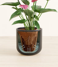 Load image into Gallery viewer, Stone Black stand:all