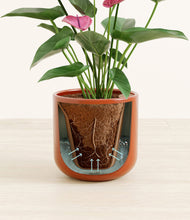 Load image into Gallery viewer, Glossy Red stand:all