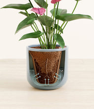 Load image into Gallery viewer, Misty Blue stand:all