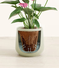 Load image into Gallery viewer, Turquoise stand:all