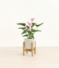 Load image into Gallery viewer, Snowdrift White stand:bamboo