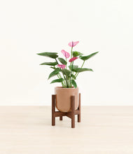 Load image into Gallery viewer, Hammered Peach Pink stand:walnut
