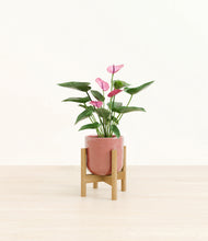 Load image into Gallery viewer, Hammered Rose Pink stand:bamboo