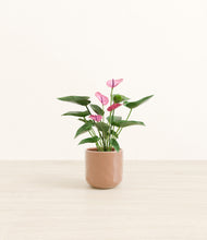 Load image into Gallery viewer, Hammered Peach Pink*****Profile