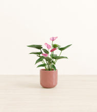 Load image into Gallery viewer, Hammered Rose Pink*****Profile