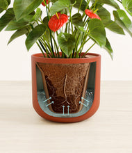 Load image into Gallery viewer, Earth Red