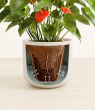 Load image into Gallery viewer, Natural Bamboo