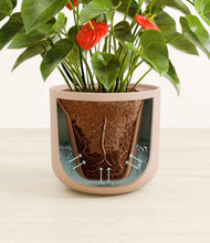 Load image into Gallery viewer, Sandy Pink