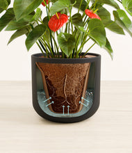 Load image into Gallery viewer, Stone Black