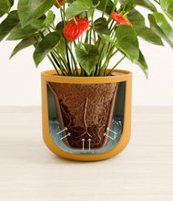 Load image into Gallery viewer, Sunset Orange