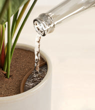 Load image into Gallery viewer, -