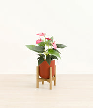 Load image into Gallery viewer, Earth Red stand:bamboo