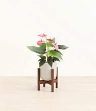 Load image into Gallery viewer, Natural Bamboo stand:walnut