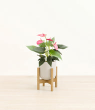 Load image into Gallery viewer, Natural Bamboo stand:bamboo