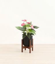 Load image into Gallery viewer, Stone Black stand:walnut