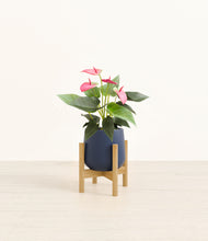 Load image into Gallery viewer, Deep Navy stand:bamboo