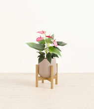 Load image into Gallery viewer, Eternal Gray stand:bamboo