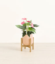 Load image into Gallery viewer, Gentle Pink stand:bamboo