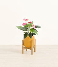 Load image into Gallery viewer, Mustard stand:bamboo