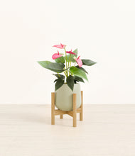 Load image into Gallery viewer, Turquoise stand:bamboo