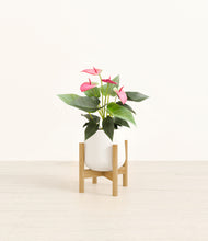 Load image into Gallery viewer, White stand:bamboo