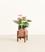 Load image into Gallery viewer, Calm Rose stand:walnut