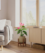 Load image into Gallery viewer, Olive stand:walnut