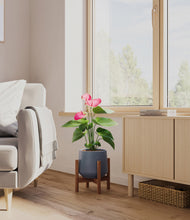 Load image into Gallery viewer, Deep Navy stand:walnut