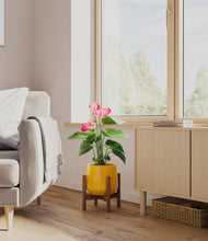 Load image into Gallery viewer, Mustard stand:walnut