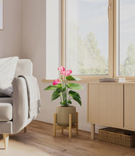 Load image into Gallery viewer, Olive stand:bamboo