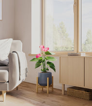 Load image into Gallery viewer, Deep Navy stand:bamboo